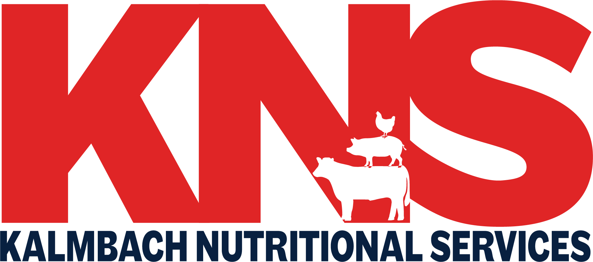 KNS logo